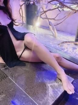 679f4faaade5193d5d2393f7